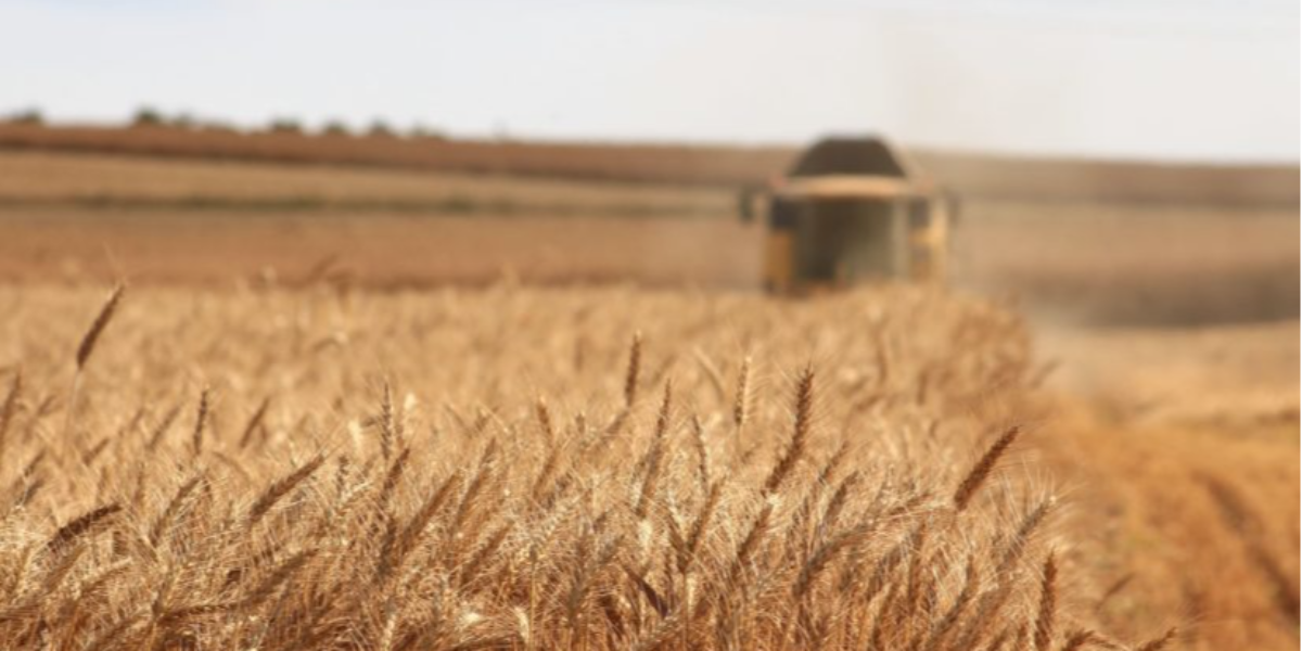 Agropodnik Humburky, a.s.