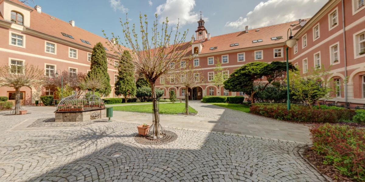 Domov se zvláštním režimem Terezín