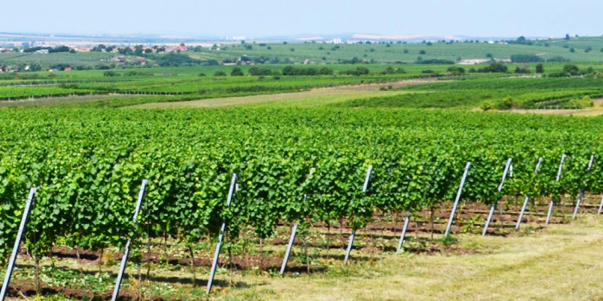 Agropodnik, a.s.