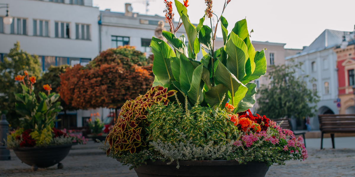 EKOLTES Hranice, a.s.