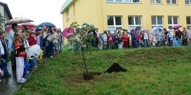 Základní škola Jindřicha Pravečka, Výprachtice, okres Ústí nad Orlicí