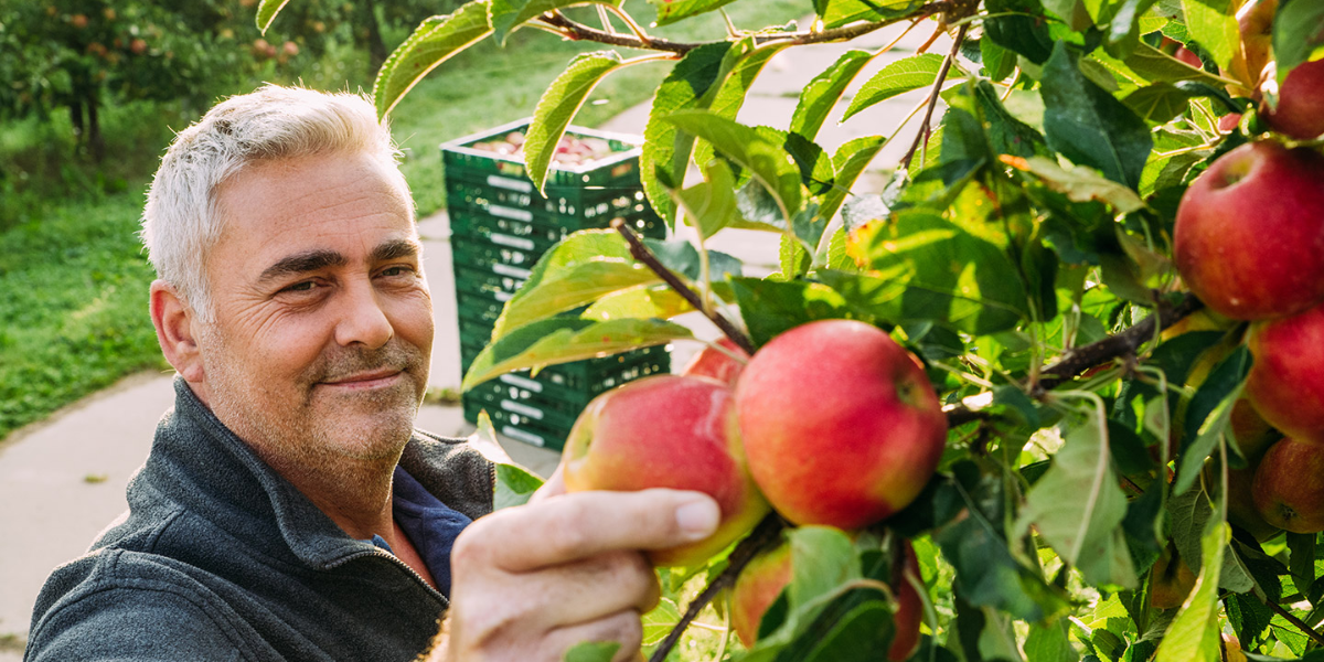 Euro Pool System CZ s.r.o.