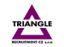 Triangle Recruitment CZ 