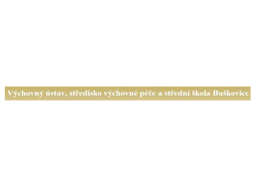 Výchovný ústav, středisko výchovné péče a SŠ Buškovice