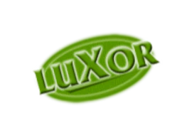 LUXOR Poděbrady, poskytovatel sociálních služeb