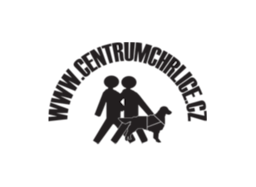 CSS pro osoby se zrakovým postižením 